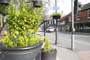 cottingham 18 sm.jpg